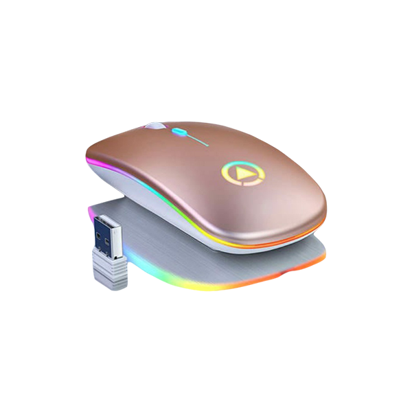 Wireless LED Rechargeable Mouse_1